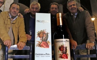 Un palo cortado con mucho nombre