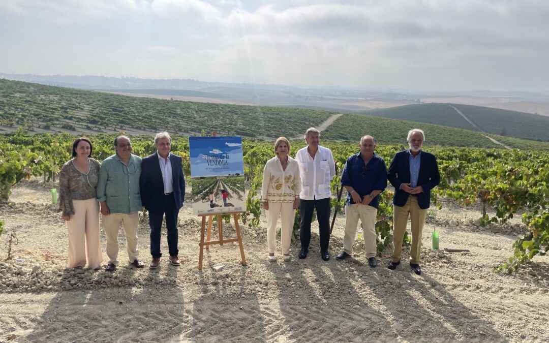 Actividades de nuestra Bodega en las Fiestas de la Vendimia 2024