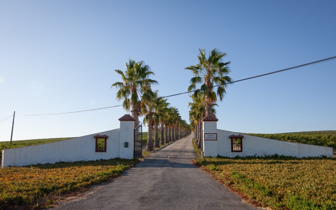 Cerro Obregón ya forma parte de nuestra Bodega